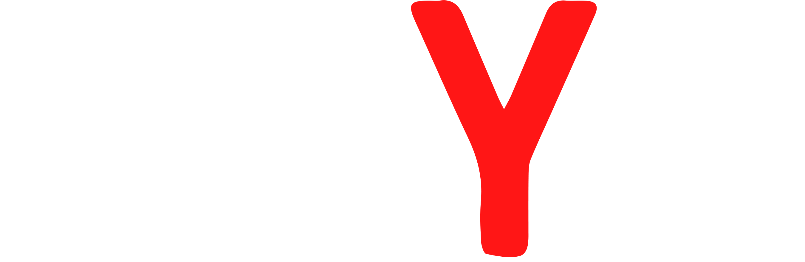 WDYM-Logo-(WR)